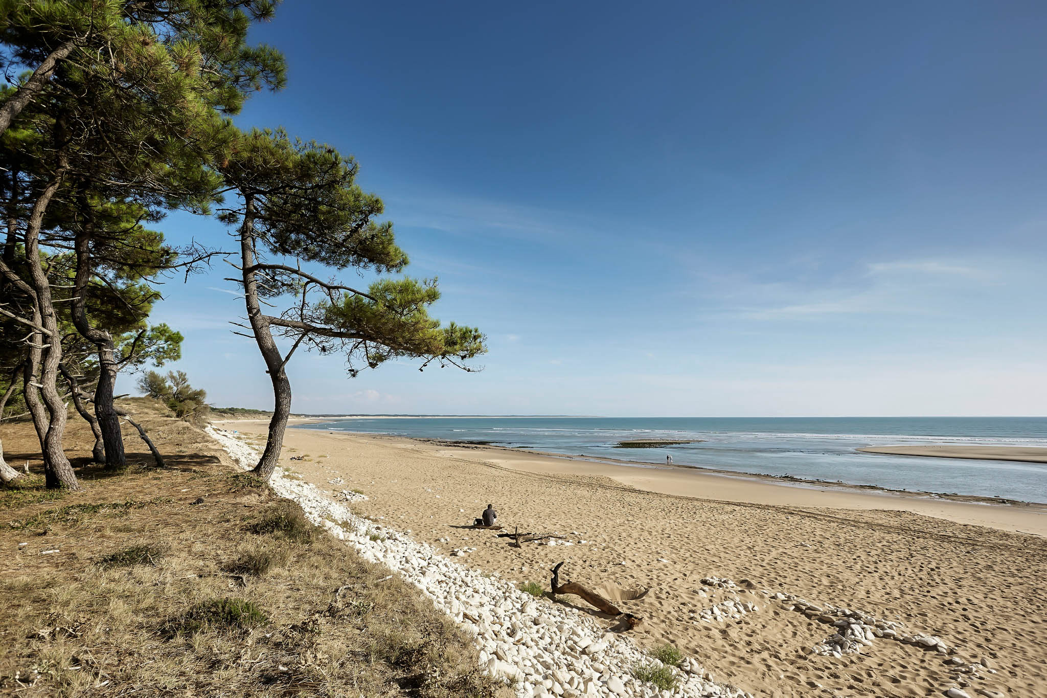 Veillon photo de profil