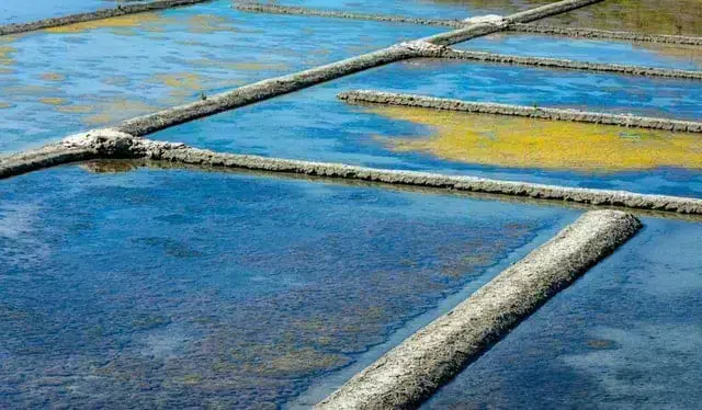 blog marais salants