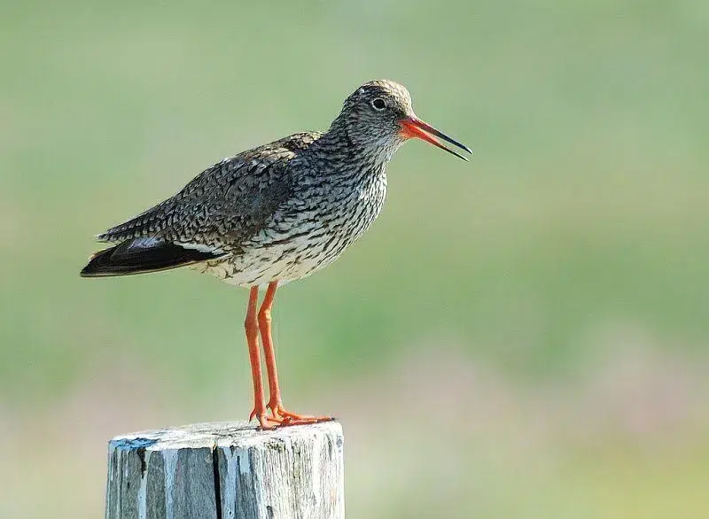 blog reserve naturelle nationale michel brosselin