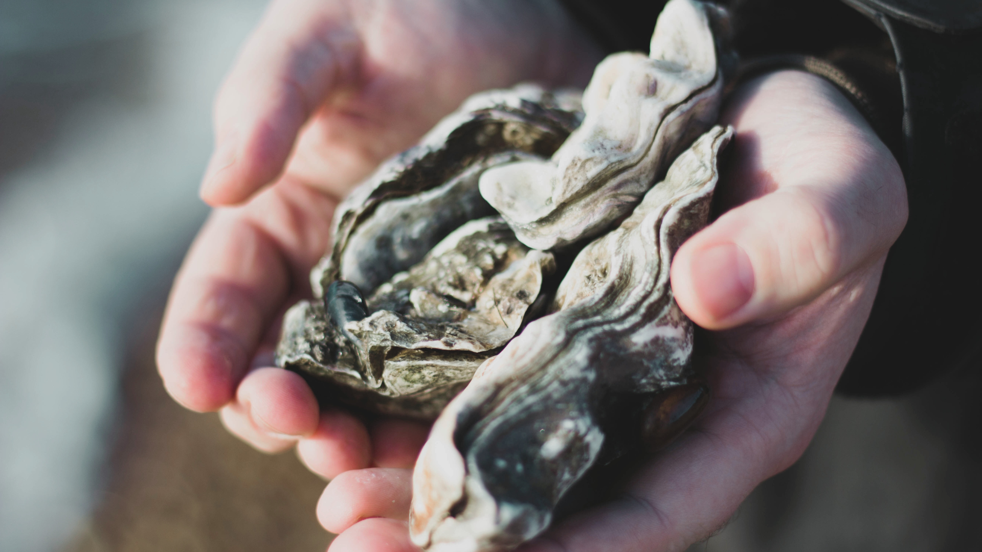 camping parfum d ete vendee